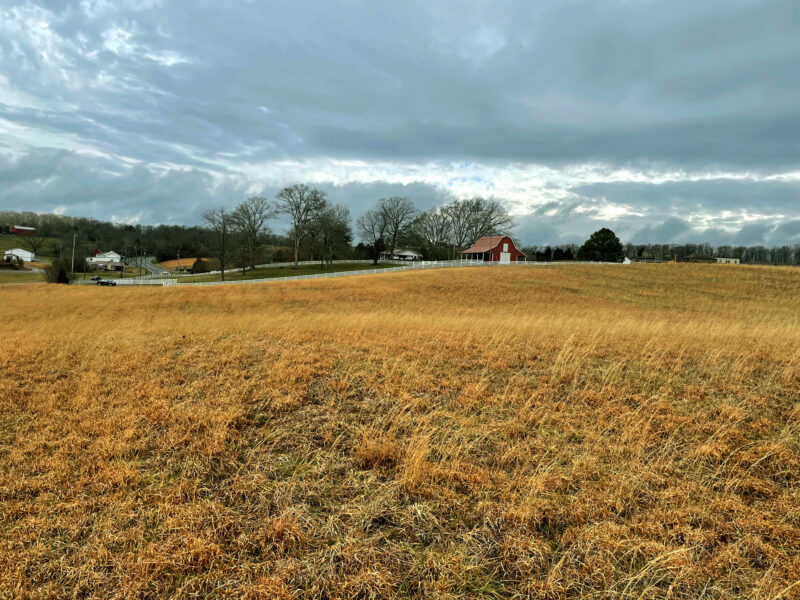 SOLD - 2 BEAUTIFUL ACRES IN SWEETWATER FOR CUSTOM HOME