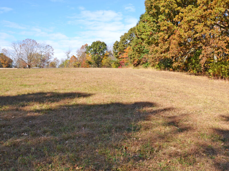 5 Private Residential Acres in City of Sweetwater
