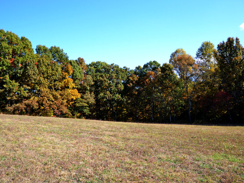 SOLD: 5 Private Residential Acres in City of Sweetwater