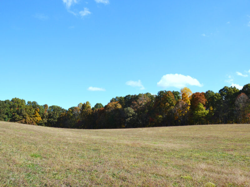 6.18 Residential Acres in City of Sweetwater w/ 2,400 sf Metal Warehouse Building