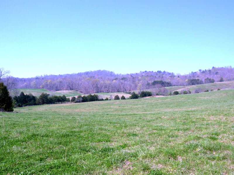 SOLD: 197 Acres with Mountain Views in Blaine, TN