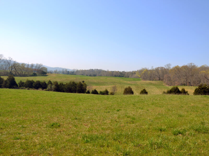 SOLD: 197 Acres with Mountain Views in Blaine, TN