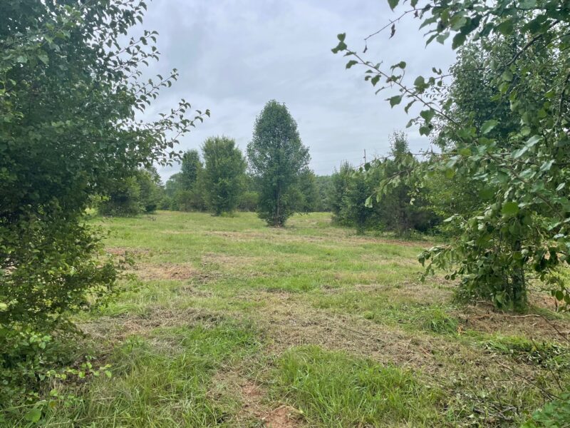 FOR SALE: 41 ACRES MINUTES FROM DOWNTOWN JEFFERSON CITY