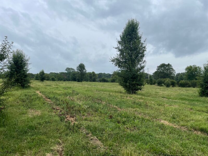 SOLD: 41 ACRES MINUTES FROM DOWNTOWN JEFFERSON CITY