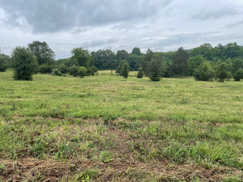 SOLD: 41 ACRES MINUTES FROM DOWNTOWN JEFFERSON CITY