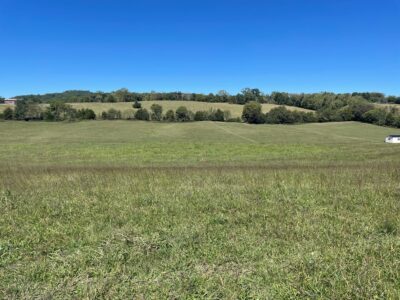 SOLD: LOT 8 - A: Gorgeous 5 Acre Tract in Madisonville