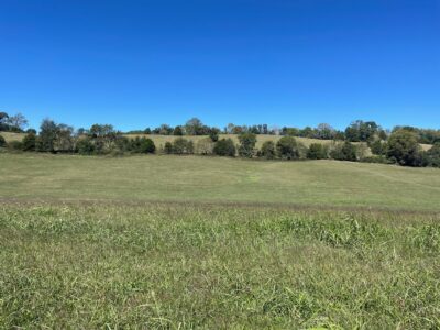SOLD: LOT 8 - B: Gorgeous 5.66 Acre Tract in Madisonville