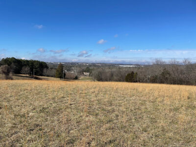 Nearly 17 Acres with Mountain Views in Morristown