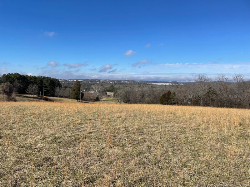 Nearly 17 Acres with Mountain Views in Morristown