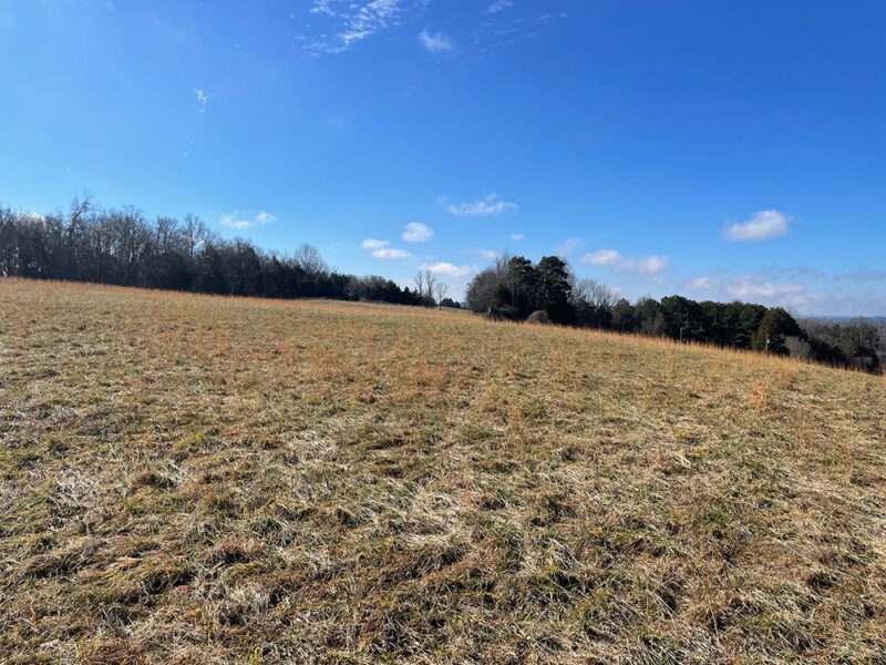 Nearly 17 Acres with Mountain Views in Morristown