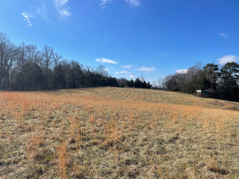Nearly 17 Acres with Mountain Views in Morristown