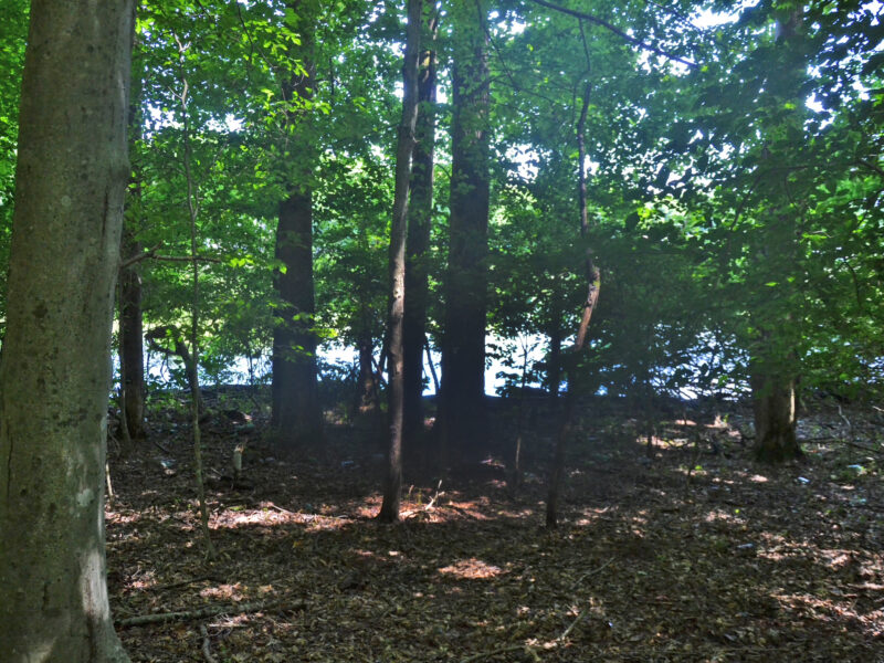 Spectacular 22 Waterfront Acres Near Downtown Knoxville