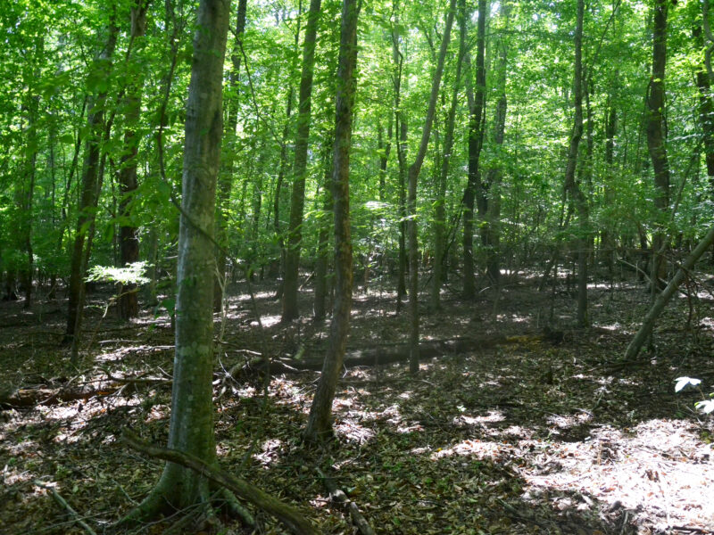 Spectacular 22 Waterfront Acres Near Downtown Knoxville
