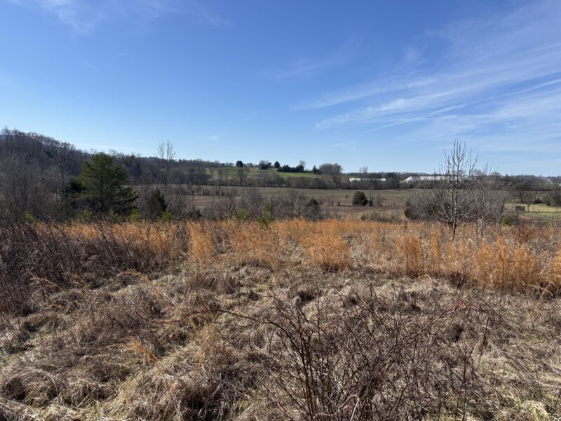 UNDER CONTRACT: Gorgeous 8.6 Acres for Custom Home in Walland