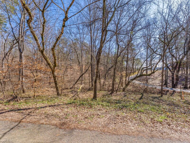 UNDER CONTRACT: Gorgeous 8.6 Acres for Custom Home in Walland