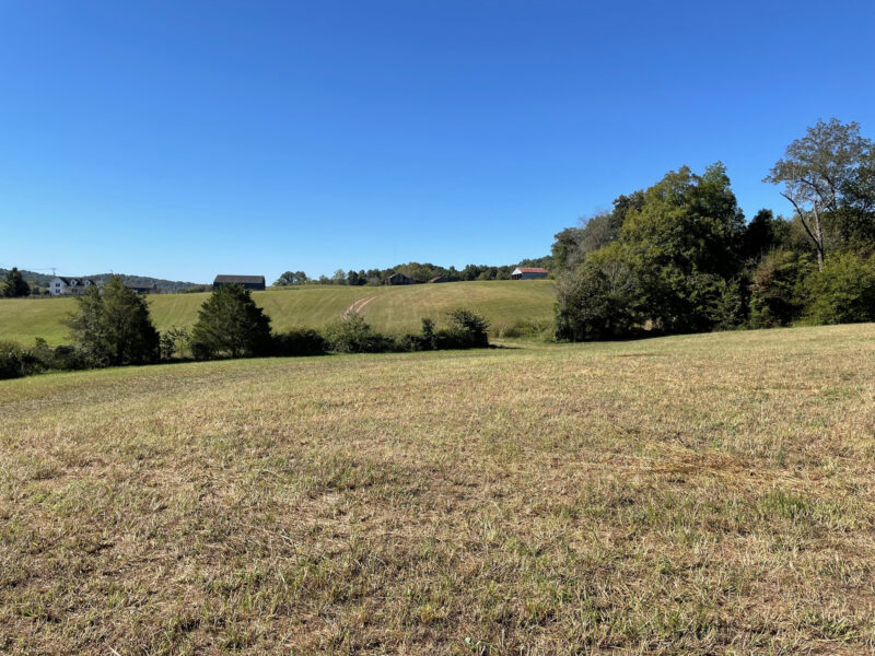 197 Acres with Mountain Views in Blaine, TN