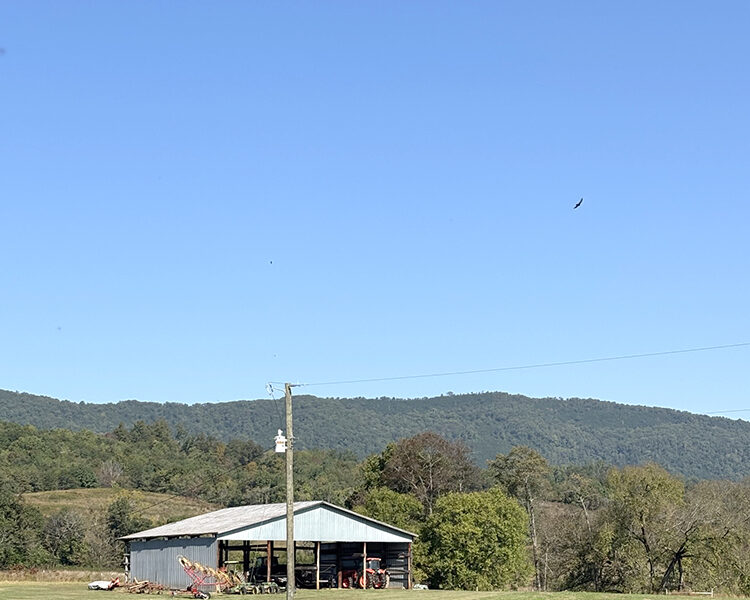 197 Acres with Mountain Views in Blaine, TN