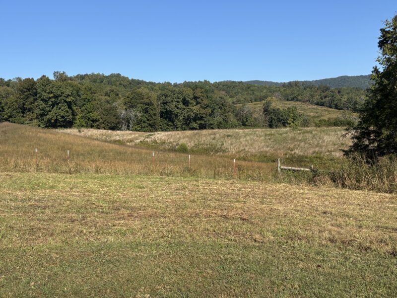 197 Acres with Mountain Views in Blaine, TN