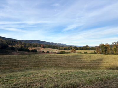 197 Acres with Mountain Views in Blaine, TN