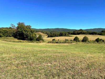 197 Acres with Mountain Views in Blaine, TN