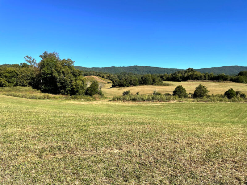 197 Acres with Mountain Views in Blaine, TN