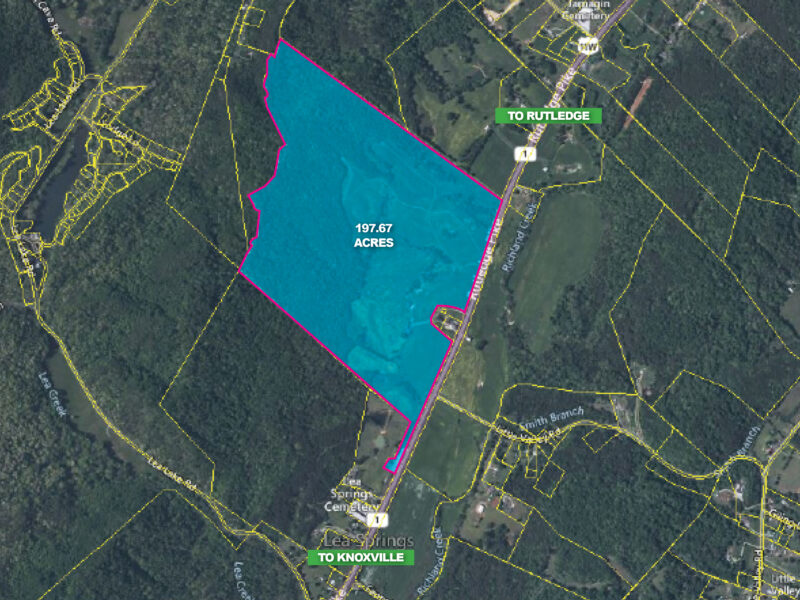 197 Acres with Mountain Views in Blaine, TN