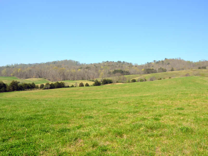 197 Acres with Mountain Views in Blaine, TN