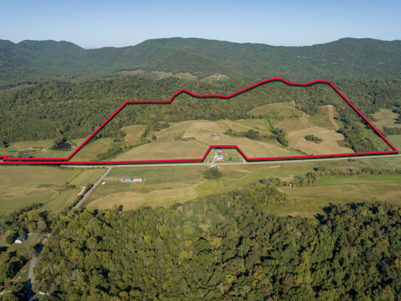 197 Acres with Mountain Views in Blaine, TN