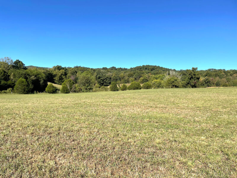 197 Acres with Mountain Views in Blaine, TN