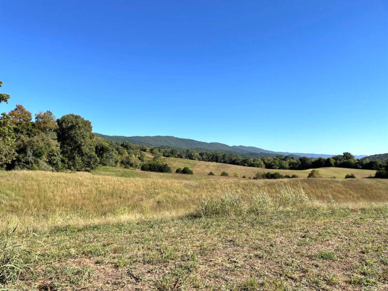 197 Acres with Mountain Views in Blaine, TN