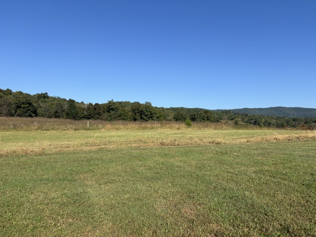 197 Acres with Mountain Views in Blaine, TN