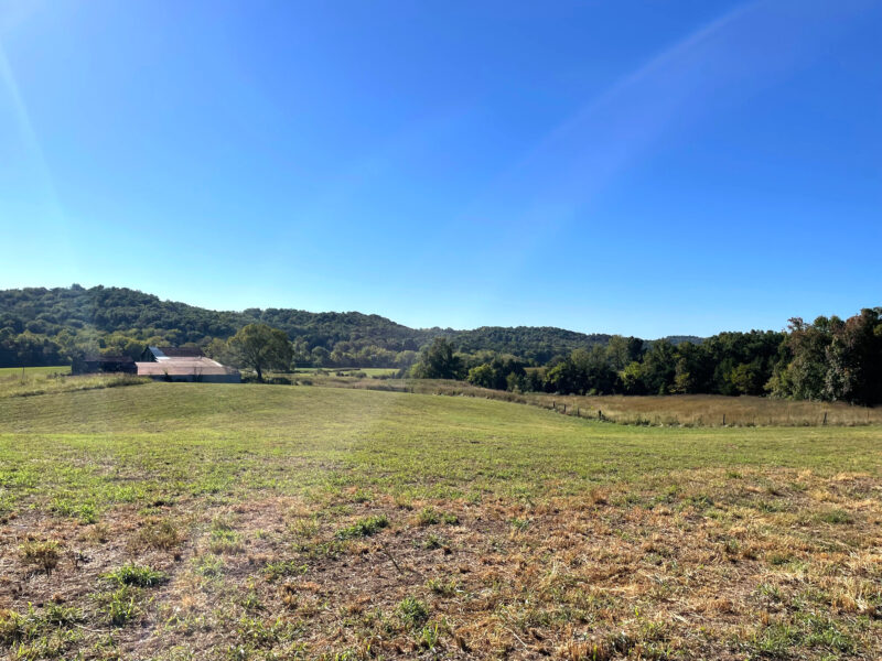 197 Acres with Mountain Views in Blaine, TN
